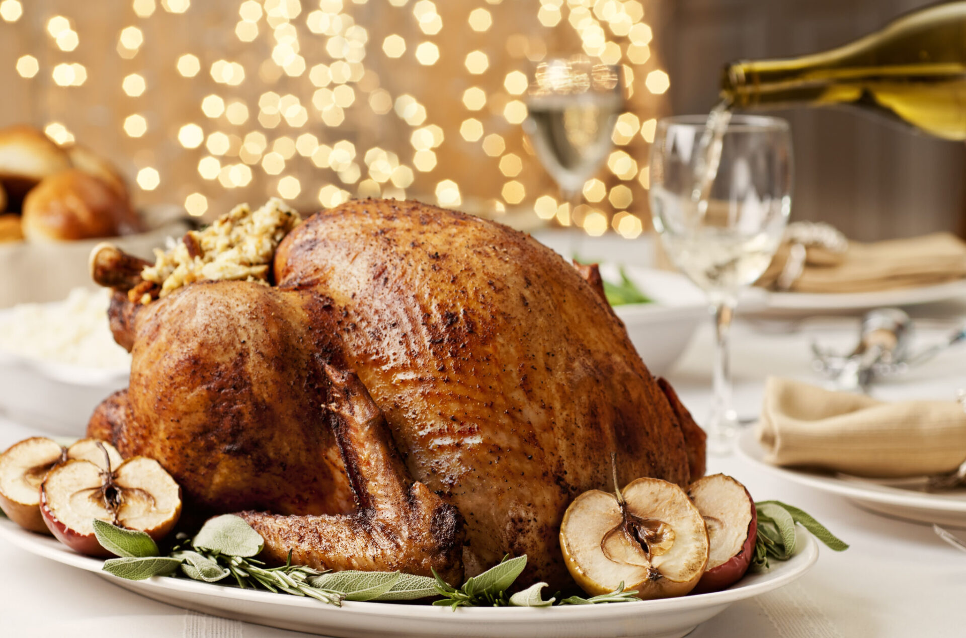 Thanksgiving turkey